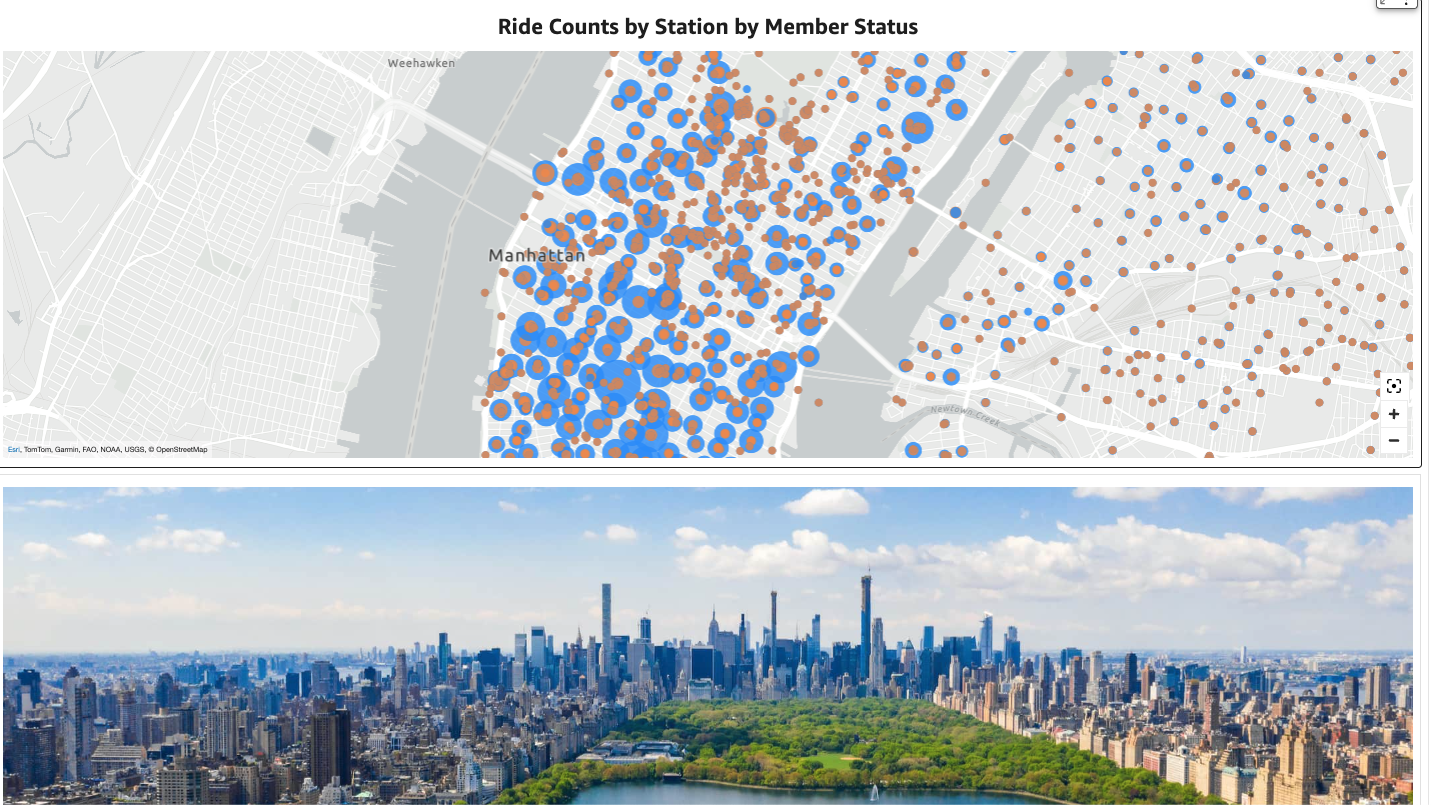 Ride Counts by Member Status