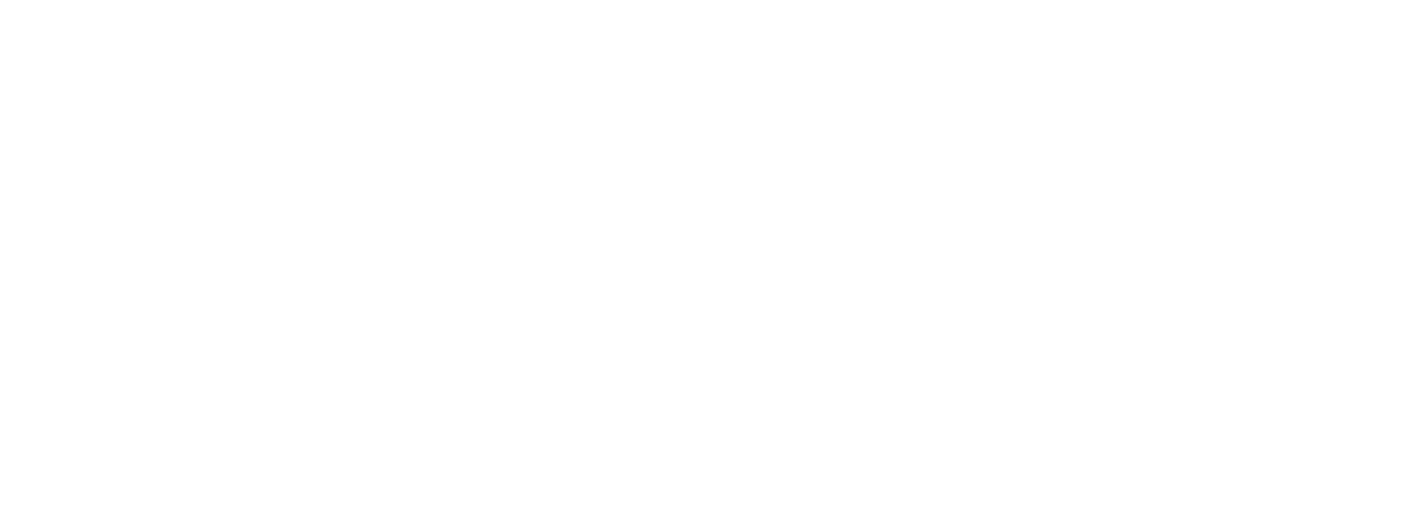 driven-company-logo