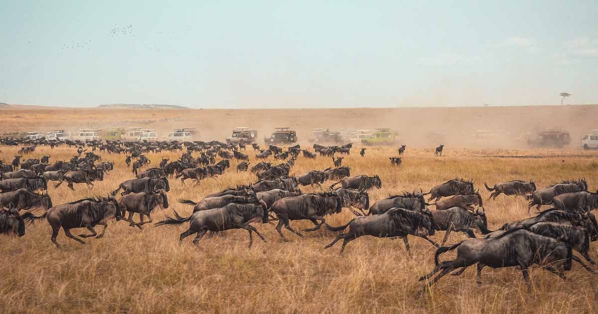 Amazon DMS: Database migration made easy