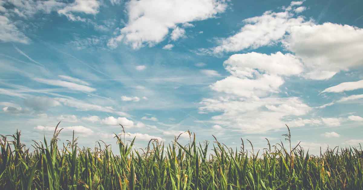 AWS CloudFormation vs. Terraform: Which One Should You Choose?