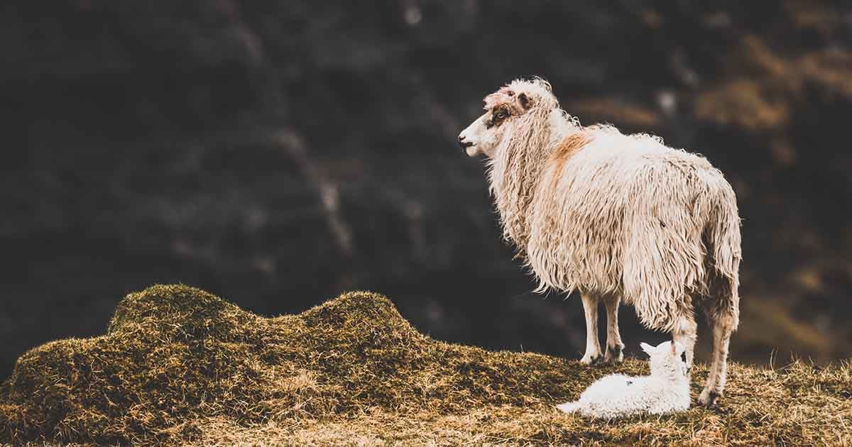 Handling Requests with Lambda@Edge