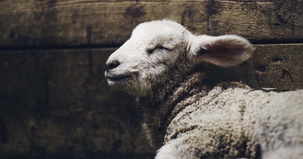 The Hype (and Reality) of AWS Lambda and Serverless Computing