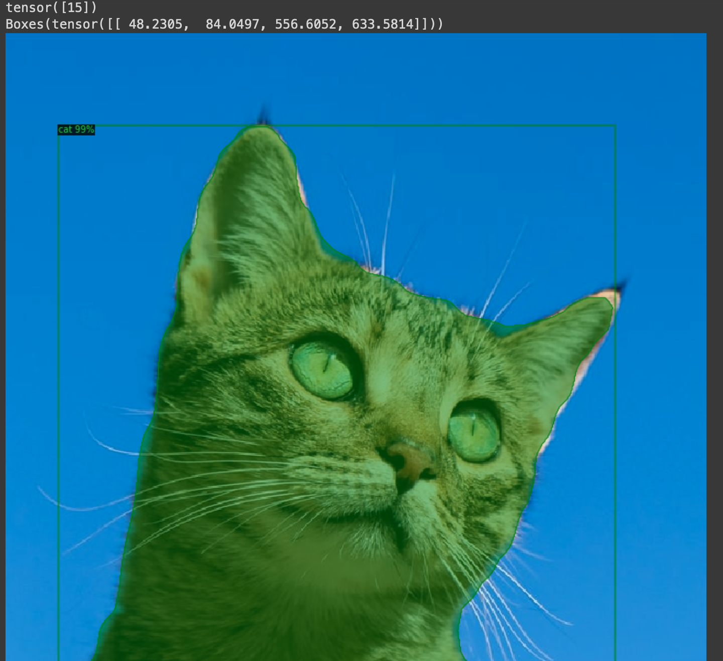 A cat with green eyesDescription automatically generated with medium confidence